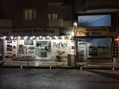 Mavi Yeşil Akvaryum Balik & Kuş