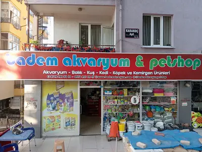 Badem Akvaryum & Petshop
