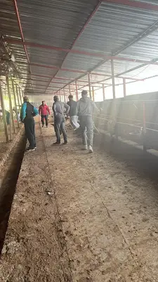 EVSAK KURBAN BESİ ÇİFTLİĞİ - SERHENDİ SİNCAN fotoğrafı
