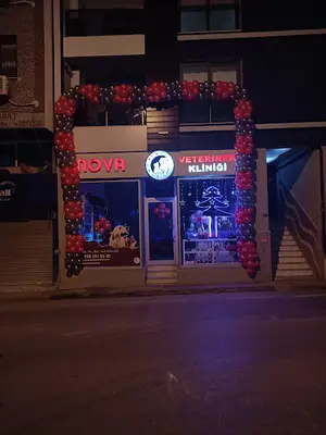 NOVA VETERİNER POLİKLİNİĞİ fotoğrafı