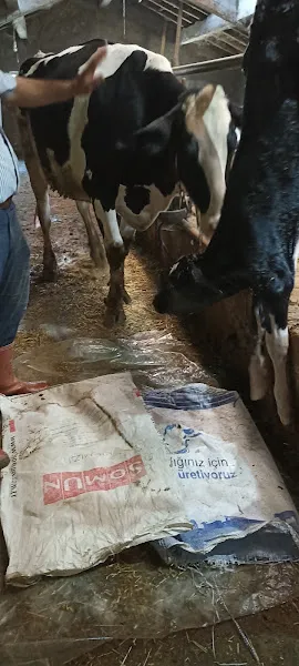 Veteriner kliniği foto 2