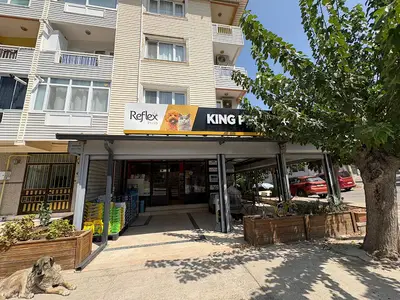 King Petshop Zeytinalanı