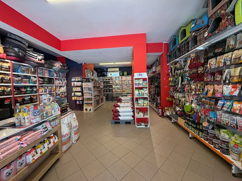 King Petshop Zeytinalanı foto 2