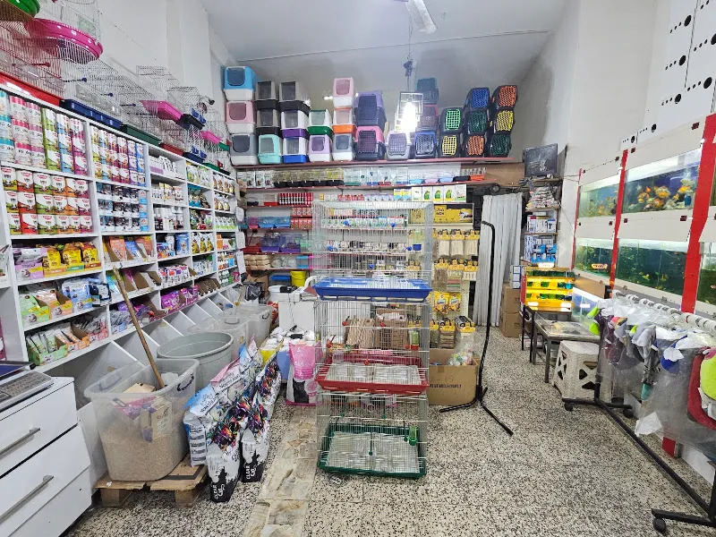 KRAL PETSHOP foto 2