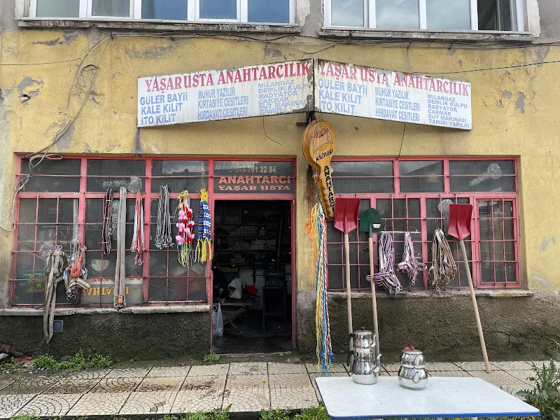 Yıldızeli Hayvan ve Mal Pazarı foto 1