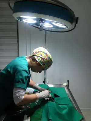 İNCİPET VETERİNER KLİNİĞİ