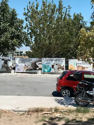 Çanakkale Belediyesi Sokak Hayvanları Geçici Tedavi ve Rehabilitasyon Merkezi