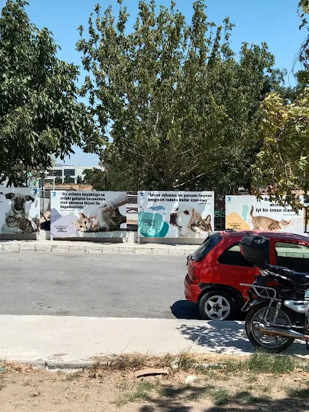 Çanakkale Belediyesi Sokak Hayvanları Geçici Tedavi ve Rehabilitasyon Merkezi foto 1
