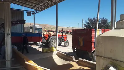Sulakyurt ülker buğday alım merkezi. Buğday,arpa nohut eleme tesisleri