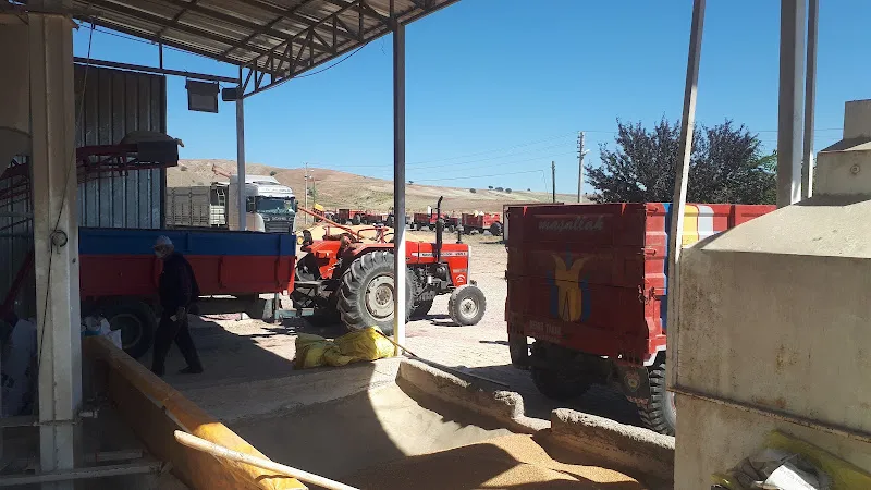 Sulakyurt ülker buğday alım merkezi. Buğday,arpa nohut eleme tesisleri foto 1