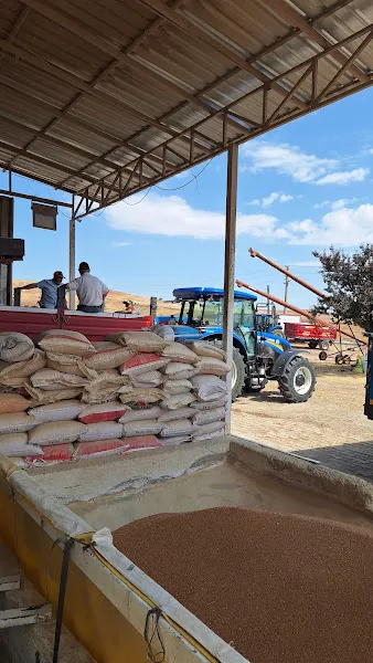 Sulakyurt ülker buğday alım merkezi. Buğday,arpa nohut eleme tesisleri foto 2