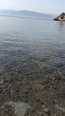 Deniz Akvaryum