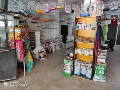 Dostlar Kuş Evi
