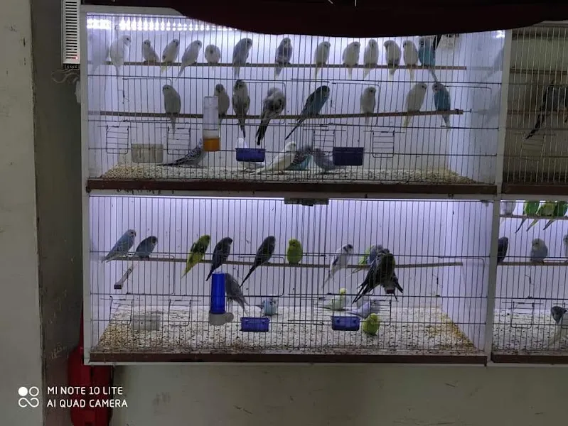 Dostlar Kuş Evi foto 2