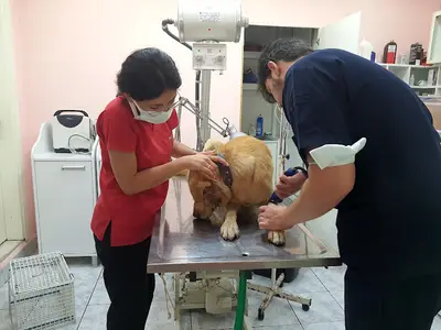 Koç-vet Veteriner Kliniği