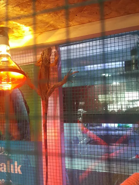 Masal Petshop foto 2