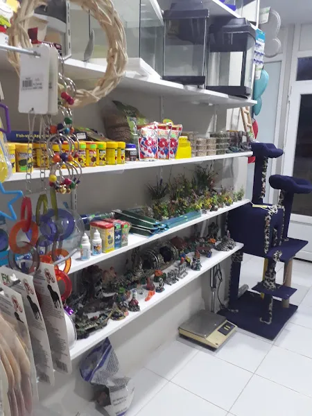 Çarşı Petshop Menderes foto 2