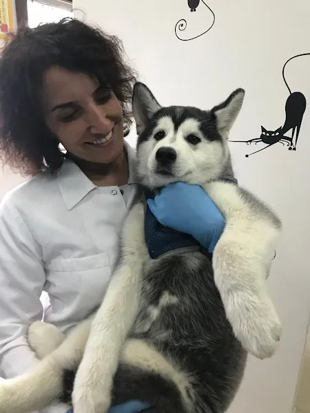 Ataşehir Botanik Veteriner Kliniği foto 2