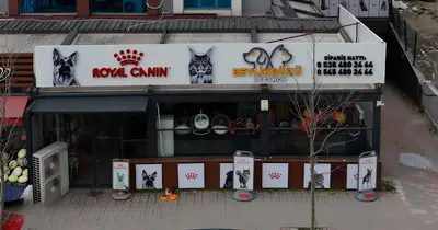 Beylikdüzü Petshop