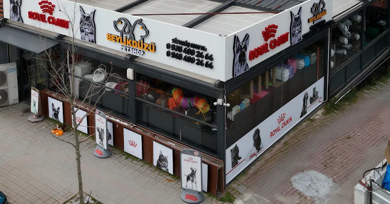 Beylikdüzü Petshop foto 2