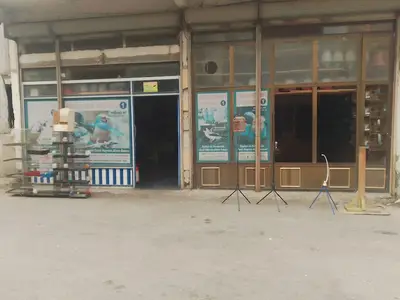 akvaryum dünyası nasır