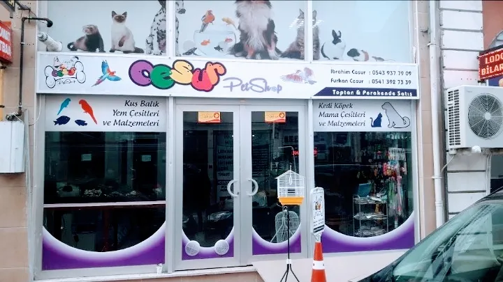 Cesur Petshop foto 1