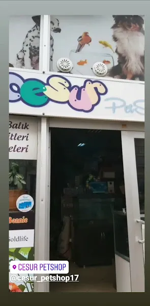 Cesur Petshop foto 2