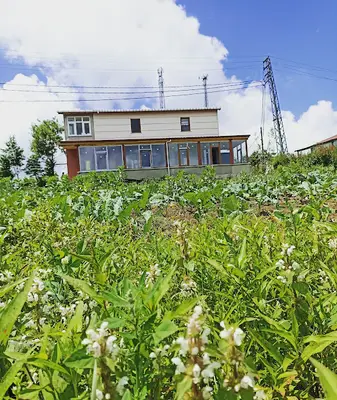 Perşembe Yaylası Gür Home & Hostel