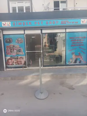 Şimşek petshop fotoğrafı