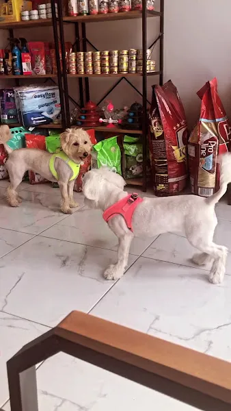 Peravet Veteriner Kliniği Konya foto 2