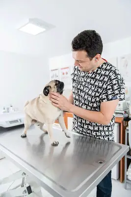 Aksoy Veteriner Kliniği fotoğrafı