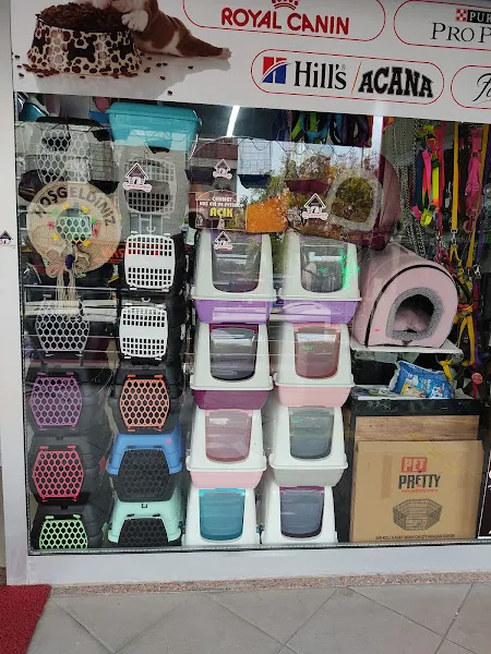 Cennet Kuş Evi Petshop foto 2