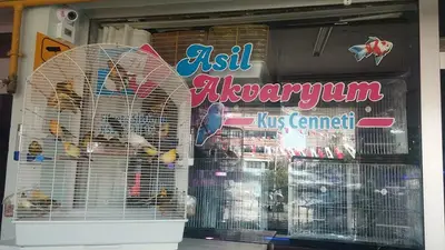 Asil Akvaryum