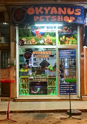 Mahir Petshop