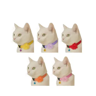 CocoPet