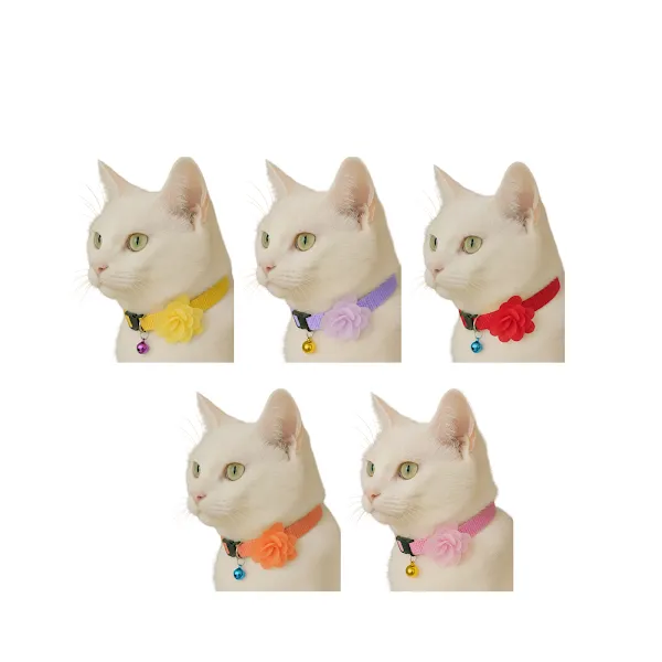 CocoPet foto 1
