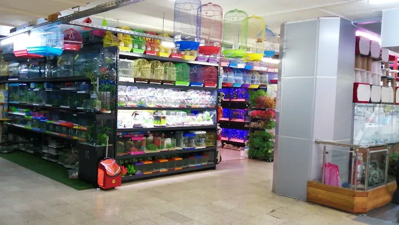 Caretta Pet Shop foto 2