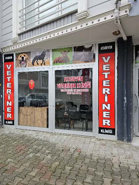 Ataseven Veteriner Kliniği foto 1