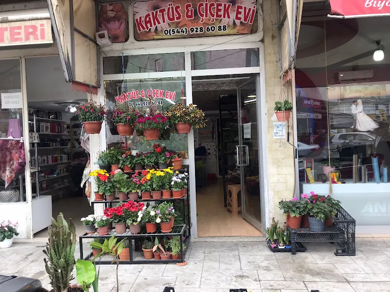 Çati Life foto 2