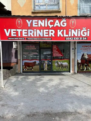 Yeni Çağ Veteriner Kliniği
