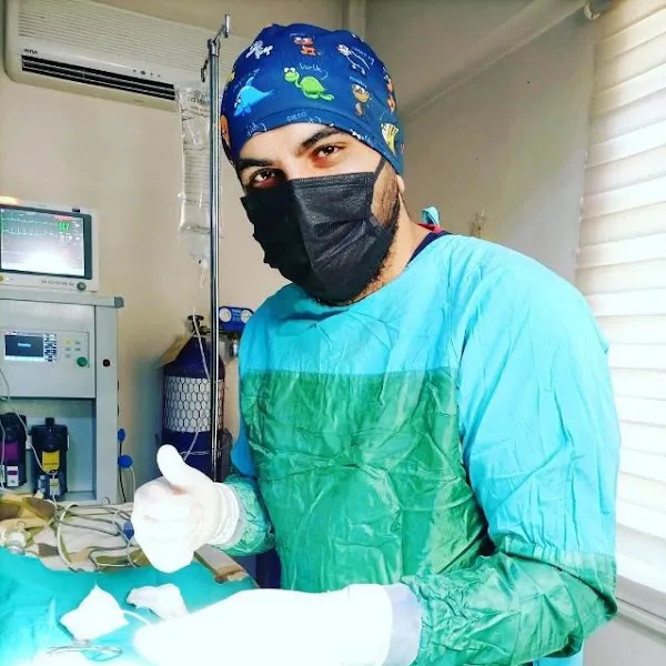 Yeni Çağ Veteriner Kliniği foto 2