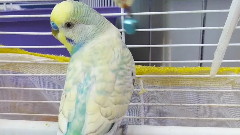 Emir Pet Shop foto 2