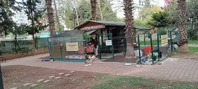 Güzelyalı Kedi Evi