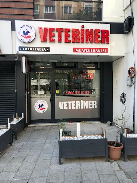 Yıldıztabya Veteriner Muayenehanesi foto 2