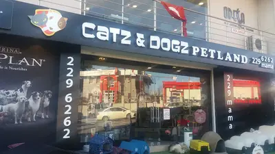 Catz & Dogz Petland