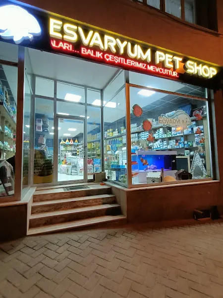 Esvaryum foto 1