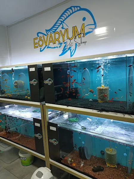 Esvaryum foto 2