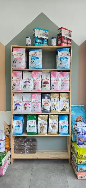 Pet Pusula | Kedi Oteli & Petshop & Pet Taksi foto 2