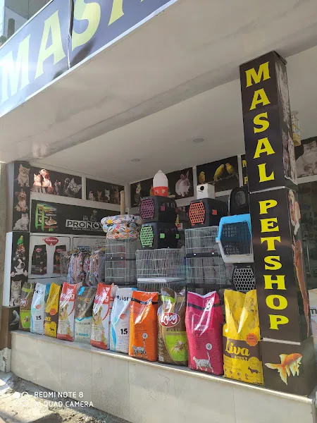 Masal Petshop foto 2