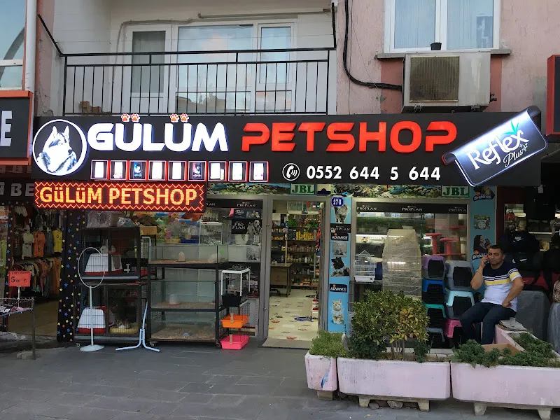 Gülüm Petshop foto 1